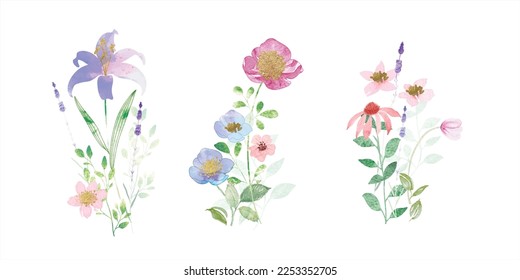 watercolor arrangements with small spring and summer flower. Botanical illustration minimal style.