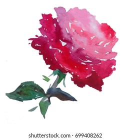 watercolor art background rose pink red violet single flower nature wet wash blurred handmade beautiful  