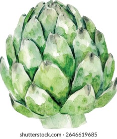 Watercolor Artichoke - Green Vegetable  vector illustration