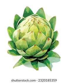 watercolor Artichoke illustration, vector illustration. isolated on white background, splash, colorful, vector