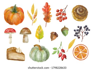 Watercolor autumn elements set, forest collection object, colored leaves, berry, nuts, mushroom, autumn sweet and pumpkin, vector watercolor effect