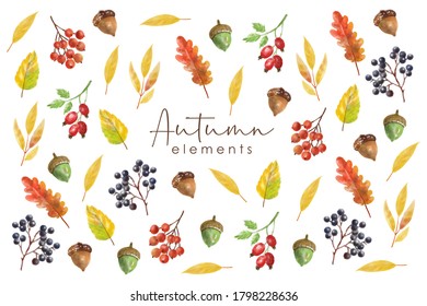 Watercolor autumn elements set, forest collection object, colored leaves, berry, nuts, mushroom, autumn sweet and pumpkin, vector watercolor effect