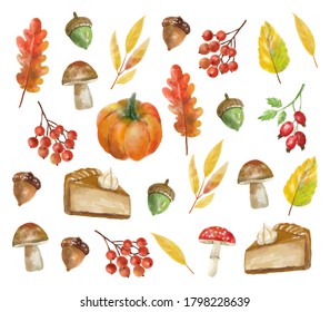 Watercolor autumn elements set, forest collection object, colored leaves, berry, nuts, mushroom, autumn sweet and pumpkin, vector watercolor effect