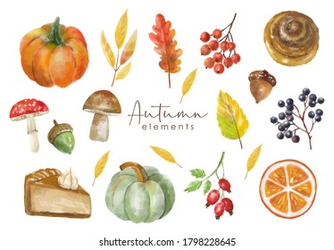 Watercolor autumn elements set, forest collection object, colored leaves, berry, nuts, mushroom, autumn sweet and pumpkin, vector watercolor effect