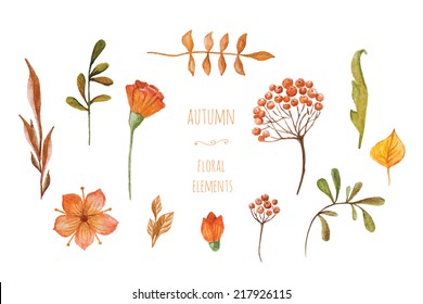 Watercolor Autumn Floral Elements. Hand-drawn Set