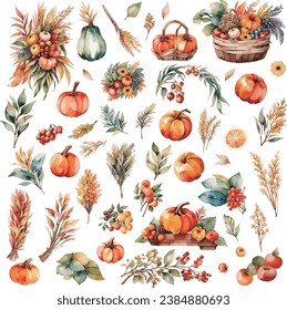 Watercolor autumn harvest set with pumpkins, berries and leaves on white background.