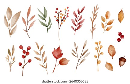 Watercolor autumn herbs and berries set. Hand painted fall botanical elements for cards, prints and seasonal design