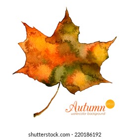 Watercolor autumn leaf. Beautiful vector hand drawn texture