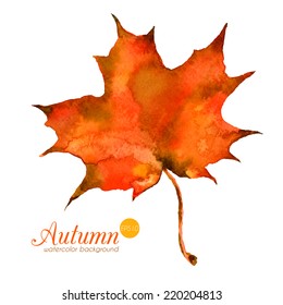 Watercolor autumn leaf. Beautiful vector hand drawn texture