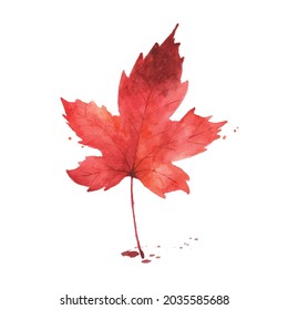 Watercolor autumn leaf. Maple leaf watercolor hand-painted isolated on white background. illustration for design decorative in the autumn festival, greeting cards, invitations, posters.