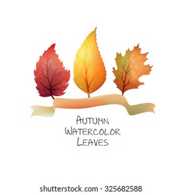 Watercolor autumn leaf set