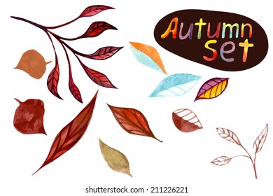 Watercolor autumn leaf set. Vector illustration