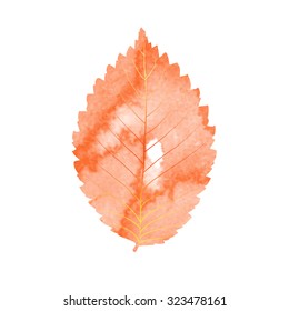 Watercolor autumn leaf vector.