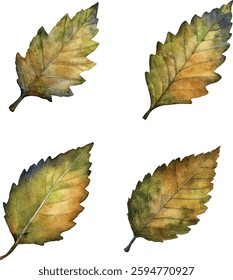 Watercolor Autumn Leaves - Green Yellow Fall Foliage vector illustration