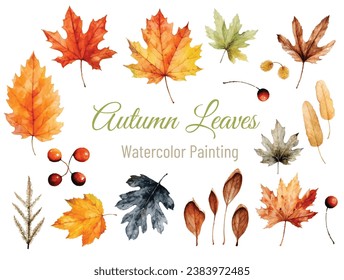 Watercolor autumn leaves painting, halloween theme, fall leaf, orange and res and yellow leaves, oak, maple, yellow autumn leaves, autumn collection