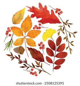 Watercolor autumn leaves pattern. Autumn foliage watercolor collection set, fall leaves, maple leaf, acorns, berries, spruce branch. Forest design elements illustration