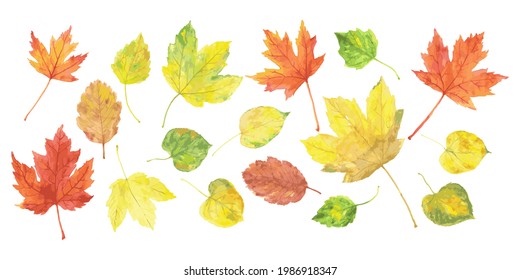 Watercolor autumn leaves set. Template for banner, poster, packaging, postcard, web design. Hand Drawn vector illustration.