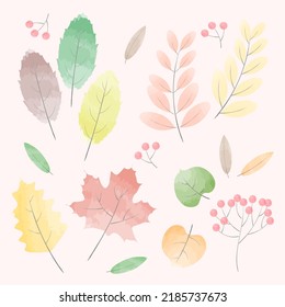 Watercolor autumn leaves, and various colorful leaves for autumn or fall themes. Can be used for icons, objects, or decorative templates. Beautiful watercolor technique