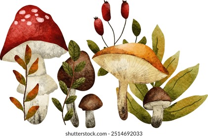 Watercolor Autumn Mushroom. Autumn. Fungus. Fall.