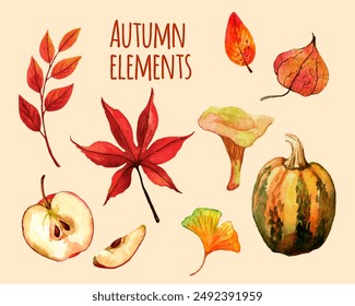 Watercolor autumn nature elements set