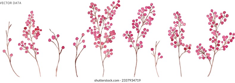 Watercolor. Autumn nuts vector background illustration with watercolor touch. Autumn plants watercolor illustration.