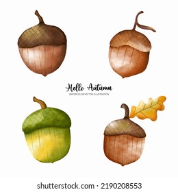 acuarela de roble otoñal elementos de bellotas. Ilustración vectorial de acuarela completa o otoño
