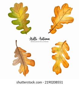 Watercolor autumn oak leaves elements. Autumn or full watercolor vector illustration
