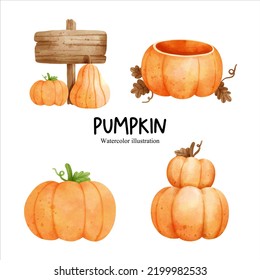 Watercolor autumn pumpkin, fall season vector illustration