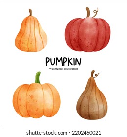 Calabaza acuática de otoño, ilustración vectorial de temporada de otoño