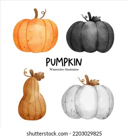 Watercolor autumn pumpkin, fall season vector illustration