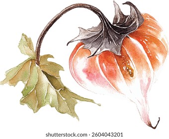 Watercolor Autumn Pumpkin with Leaf vector illustration