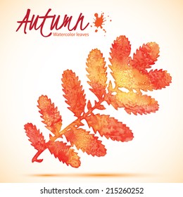 Watercolor Autumn vector background with leaves