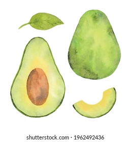 Watercolor avocado close up isolated on white background. Watercolor hand drawn illustration.