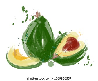 watercolor avocado painting. vector hand drawn avocado illustration. exotic fruit drawing. 