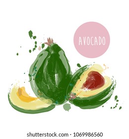 watercolor avocado painting. vector hand drawn avocado illustration. exotic fruit drawing. 