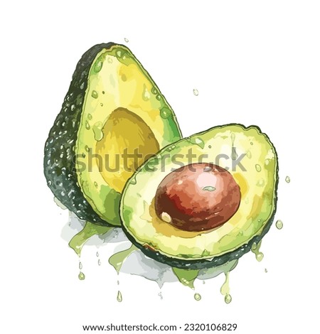 Watercolor Avocado slice .Watercolor hand drawn illustration.White background, vector
