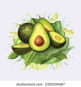 Watercolor Avocado vector, isolated on white background, green leaves, splash
