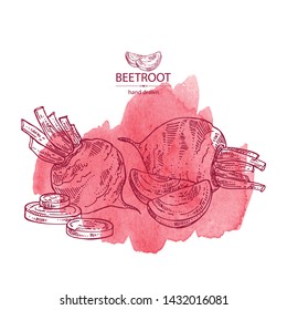 Watercolor backgroumd with beet: full beetroot and piece of beet. Vector hand drawn illustration 