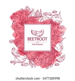 Watercolor backgroumd with beet: full beetroot and piece of beet. Vector hand drawn illustration 
