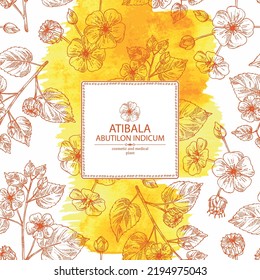 Watercolor background with abutilon indicum: abutilon indicum plant, leaves and atibala flowers. Atibala. Cosmetic, perfumery and medical plant. Vector hand drawn illustration