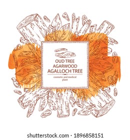 Watercolor background agar wood: oud tree, leaves and pice of agar wood. Agalloch tree. Perfumery, cosmetics and medical plant. Vector hand drawn illustration