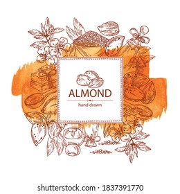 Watercolor background with almond: branch of almond flowers, almond and leaves. Oil, soap and bath salt . Cosmetics and medical plant. Vector hand drawn illustration