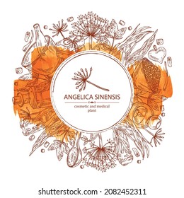 Watercolor Background With Angelica Sinensis: Angelica Root And Plant. Oil, Soap And Bath Salt . Cosmetics And Medical Plant. Vector Hand Drawn Illustration