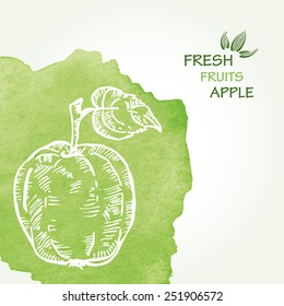 Watercolor background with apple in vector. 