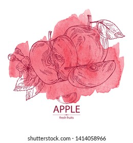 Watercolor background with apples: fruit, leaves, flower and apple slice. Vector hand drawn illustration.