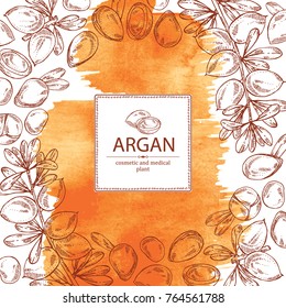 Watercolor background with argan: leaves and argan nuts. Cosmetic and medical plant. Vector hand drawn illustration. 