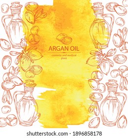 Watercolor background with argan: argan nuts and bottle of argan oil. Vector hand drawn illustration.