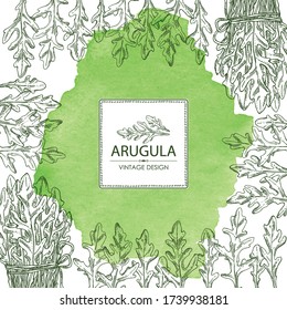 Wasserfarbener Hintergrund mit Arugula und einem Haufen Arugula. Vector handgezeichnete Abbildung.
