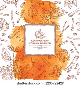 Watercolor background with ashwagandha: branch, root and berries of withania somnifera . Cosmetic and medical plant. Vector hand drawn illustration. 