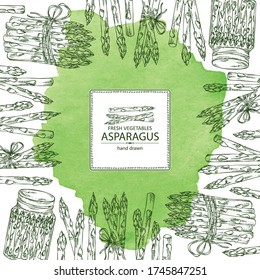 Watercolor background with asparagus. Vector hand drawn illustration.